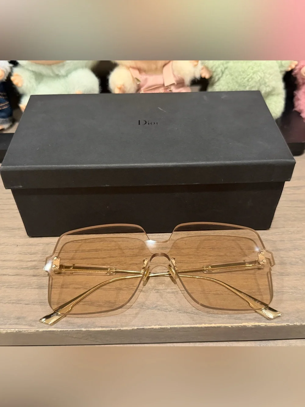 Dior Colorquake Sunglasses